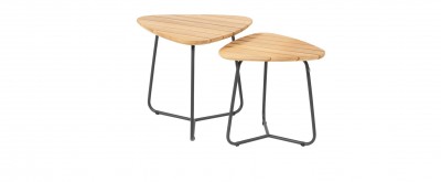 213972__Verdi_set_of_2_natural_teak_triangle_coffee_tables_01_(3).jpg